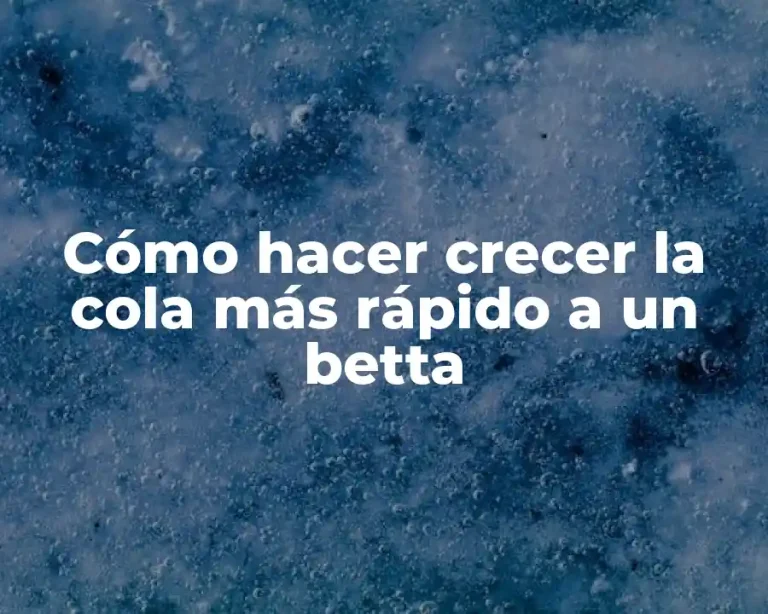 Cómo hacer crecer la cola más rápido a un betta
