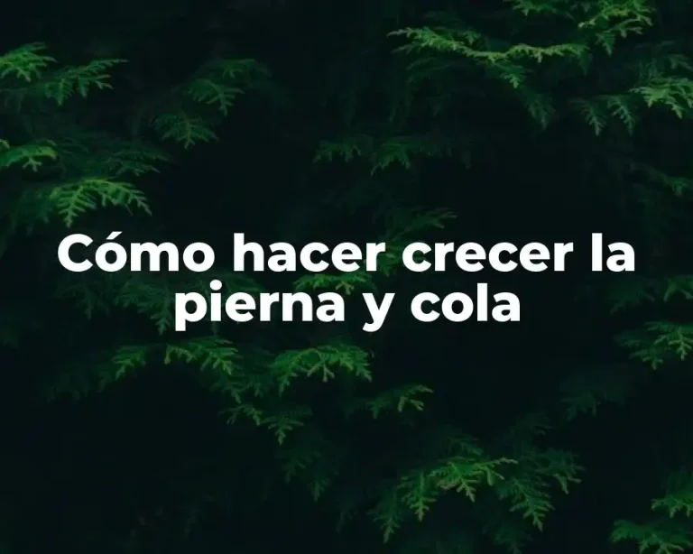 Cómo hacer crecer la pierna y cola