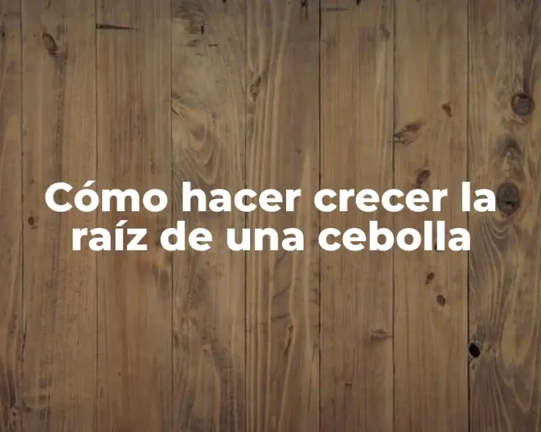 Cómo hacer crecer la raíz de una cebolla