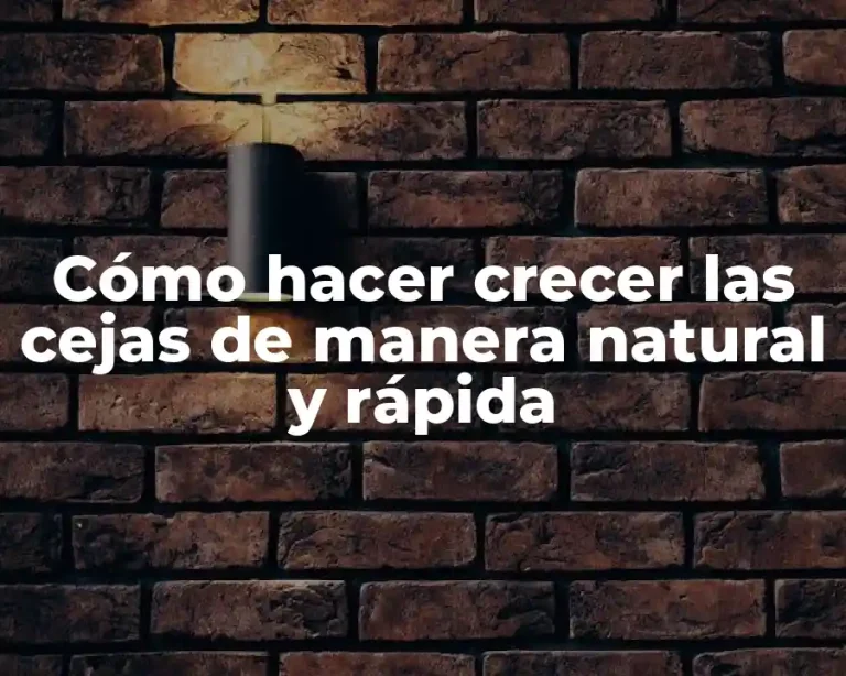 Cómo hacer crecer las cejas de manera natural y rápida