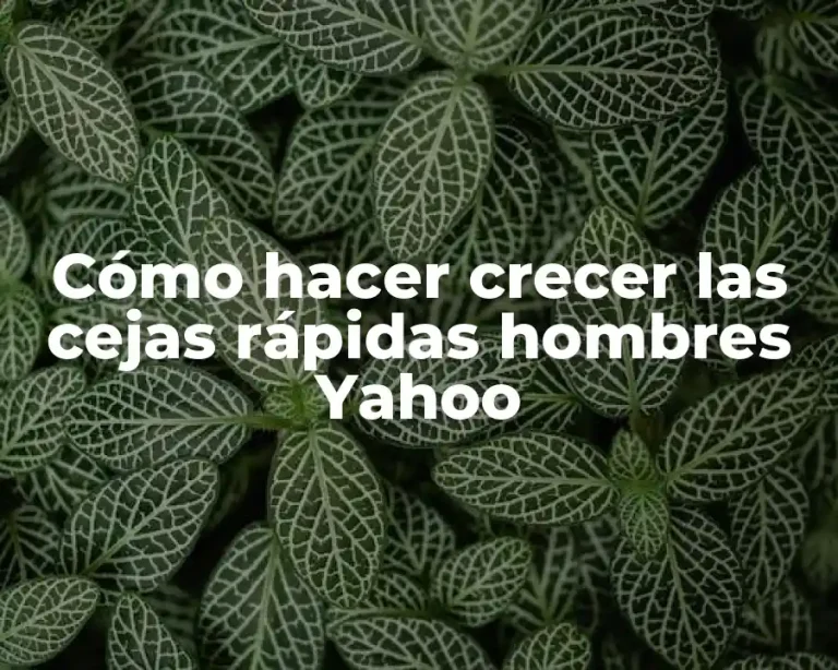 Cómo hacer crecer las cejas rápidas hombres Yahoo
