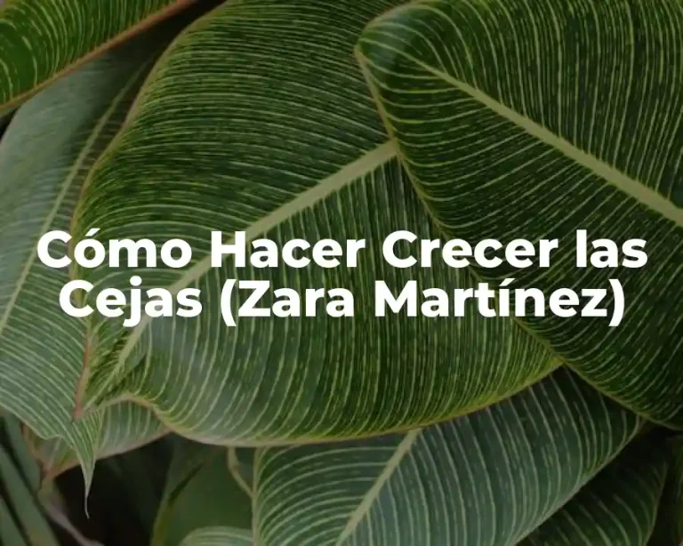 Cómo Hacer Crecer las Cejas (Zara Martínez)