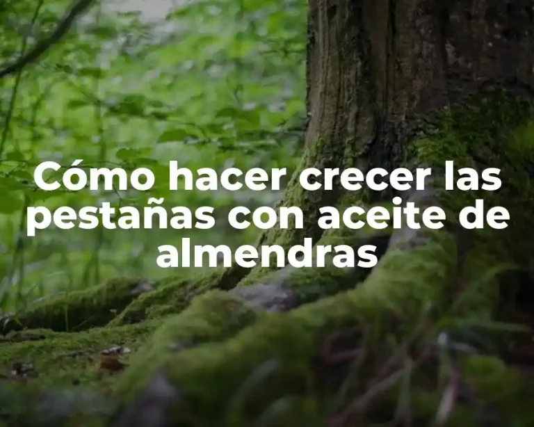 Cómo hacer crecer las pestañas con aceite de almendras