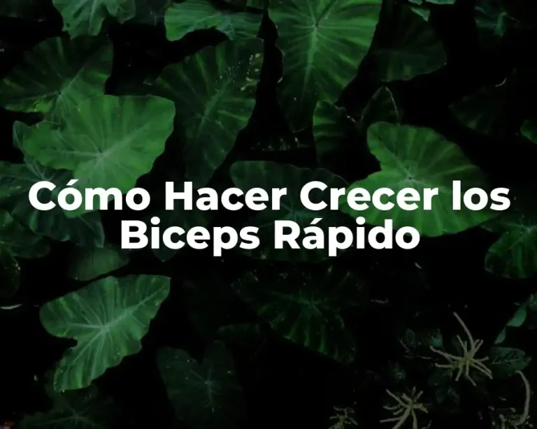 Cómo Hacer Crecer los Biceps Rápido