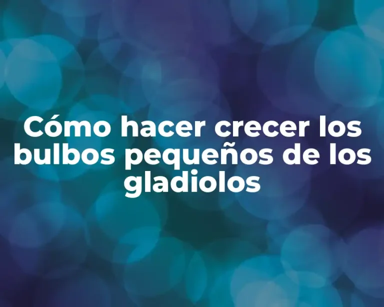 Cómo hacer crecer los bulbos pequeños de los gladiolos