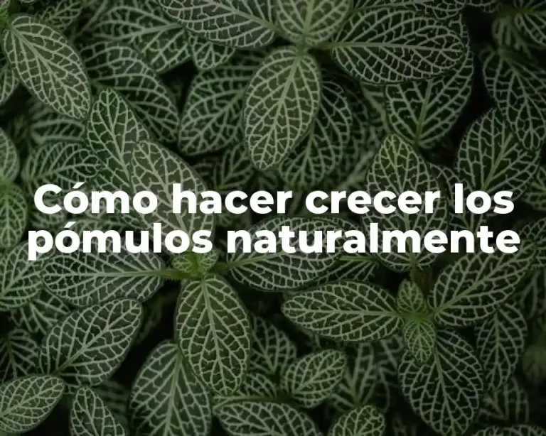 Cómo hacer crecer los pómulos naturalmente