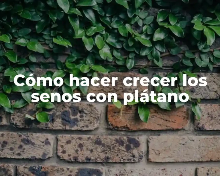 Cómo hacer crecer los senos con plátano