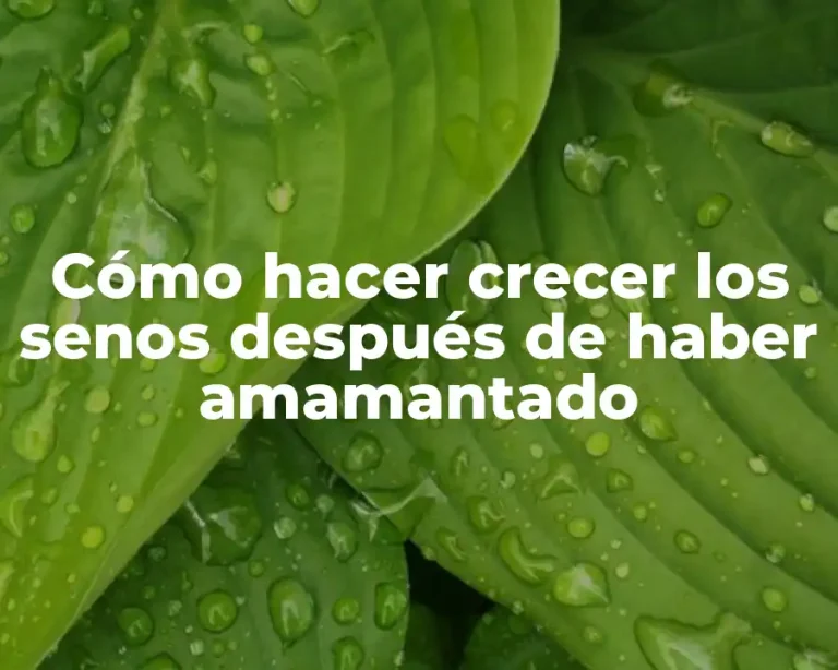 Cómo hacer crecer los senos después de haber amamantado