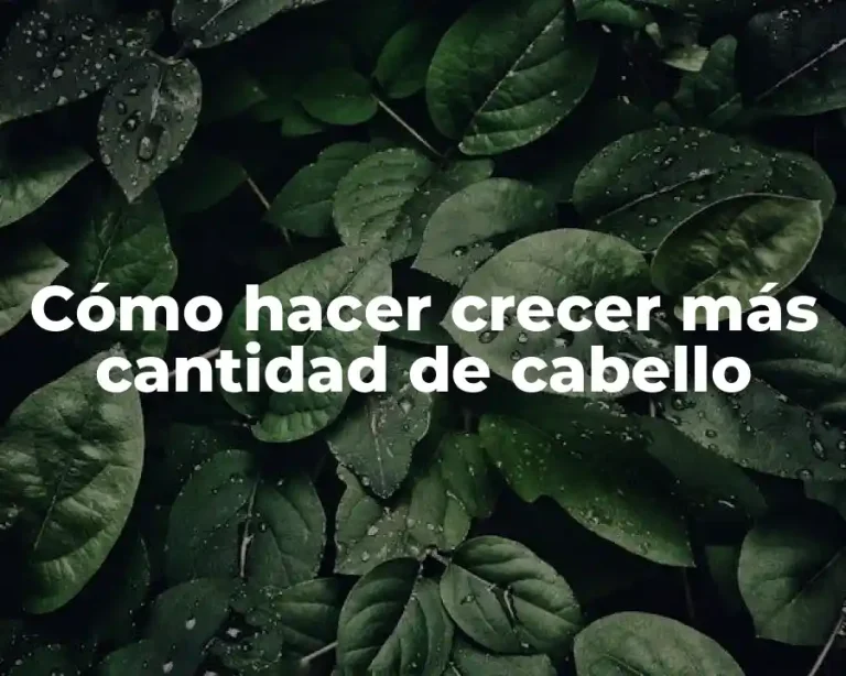 Cómo hacer crecer más cantidad de cabello