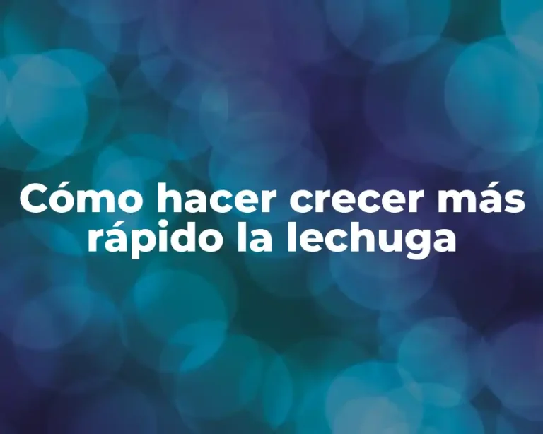 Cómo hacer crecer más rápido la lechuga