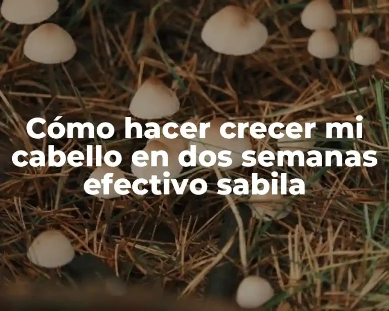 Cómo hacer crecer mi cabello en dos semanas efectivo sabila