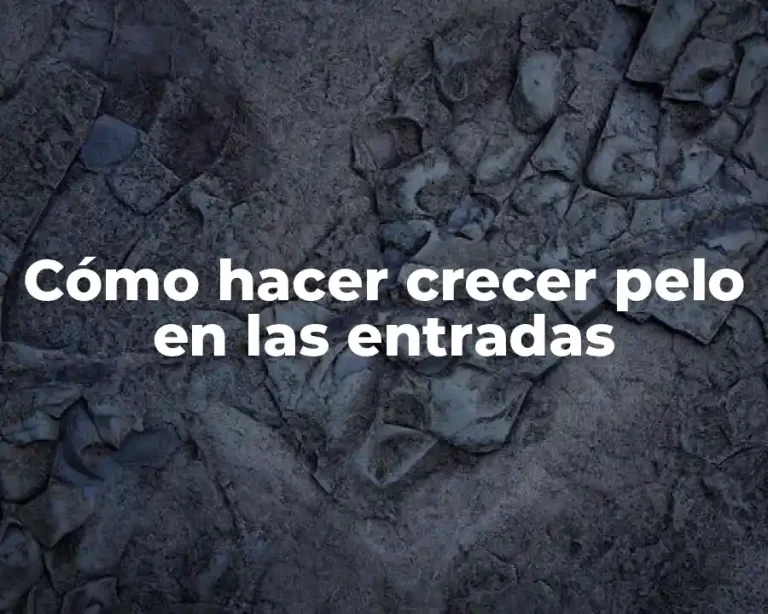 Cómo hacer crecer pelo en las entradas