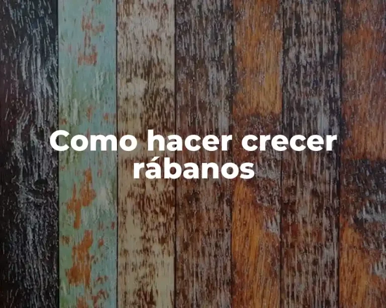 Como hacer crecer rábanos