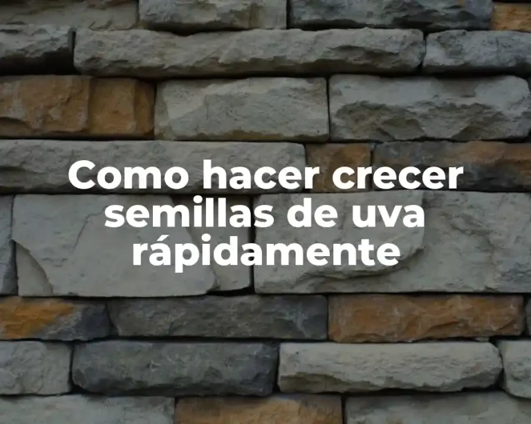 Como hacer crecer semillas de uva rápidamente