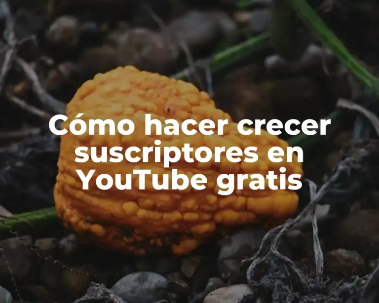 Cómo hacer crecer suscriptores en YouTube gratis