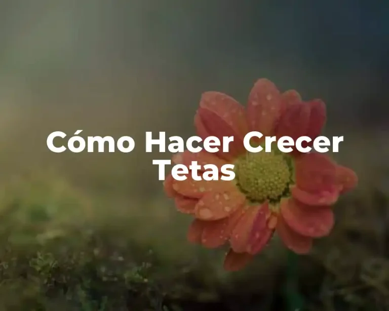 Cómo Hacer Crecer Tetas