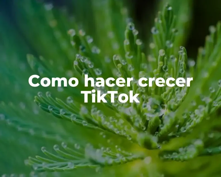 Como hacer crecer TikTok