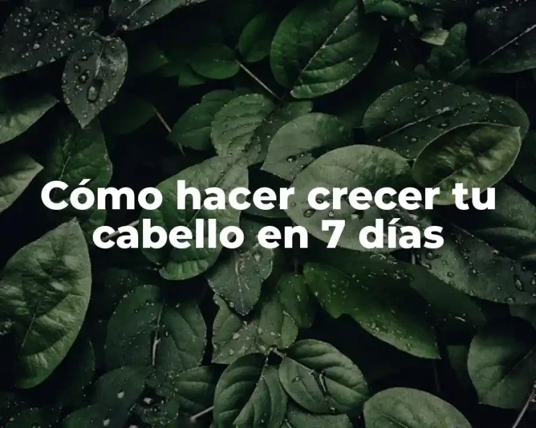 Cómo hacer crecer tu cabello en 7 días