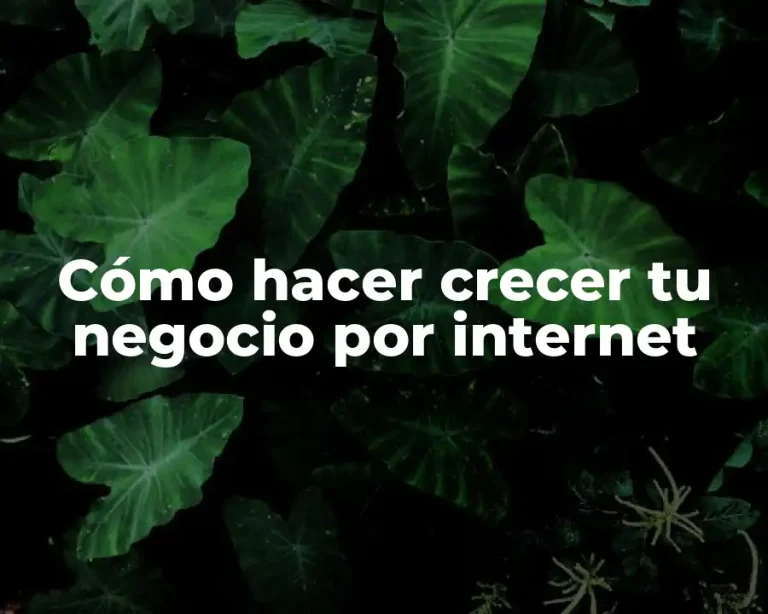 Cómo hacer crecer tu negocio por internet