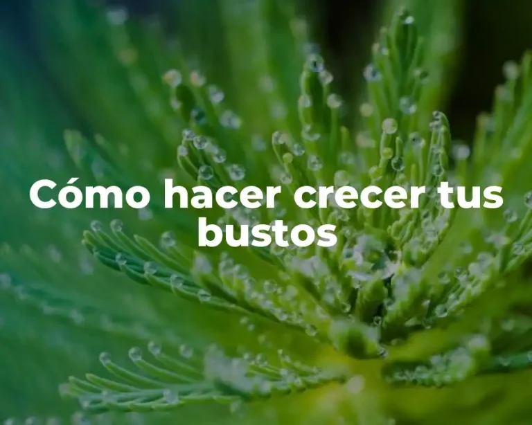 Cómo hacer crecer tus bustos