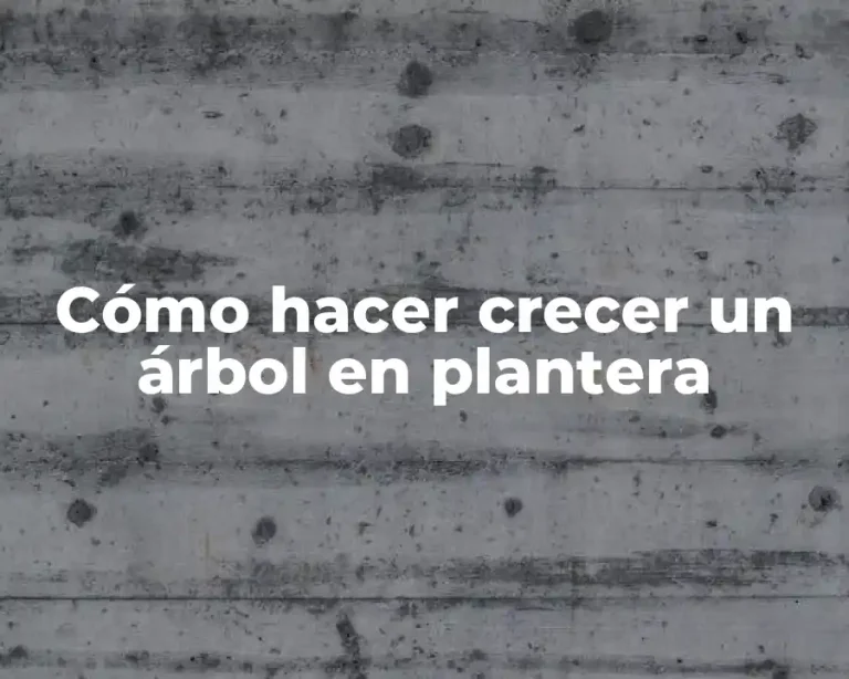 Cómo hacer crecer un árbol en plantera