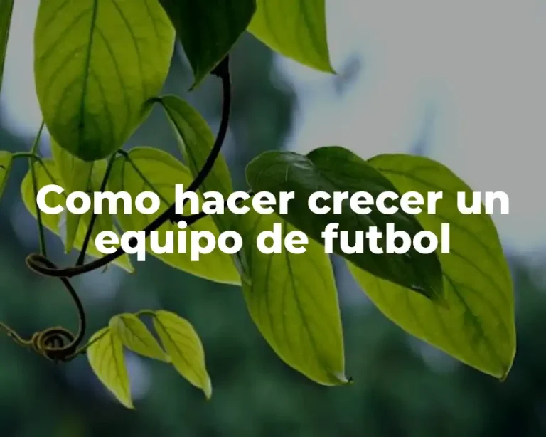 Como hacer crecer un equipo de futbol