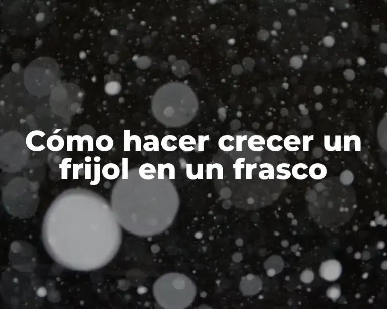 Cómo hacer crecer un frijol en un frasco