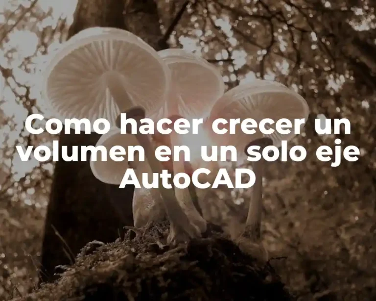 Como hacer crecer un volumen en un solo eje AutoCAD