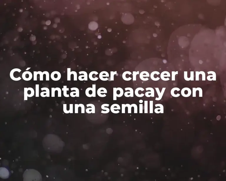 Cómo hacer crecer una planta de pacay con una semilla
