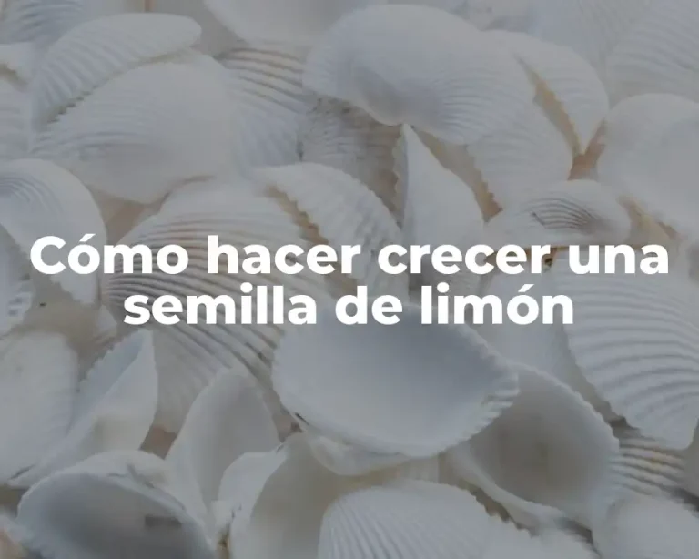 Cómo hacer crecer una semilla de limón