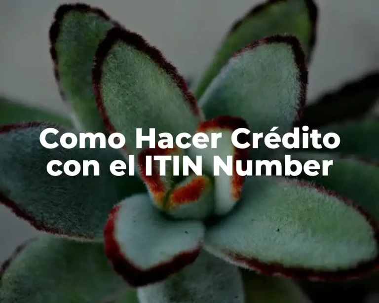Como Hacer Crédito con el ITIN Number