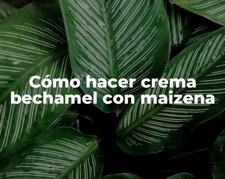 Cómo hacer crema bechamel con maizena