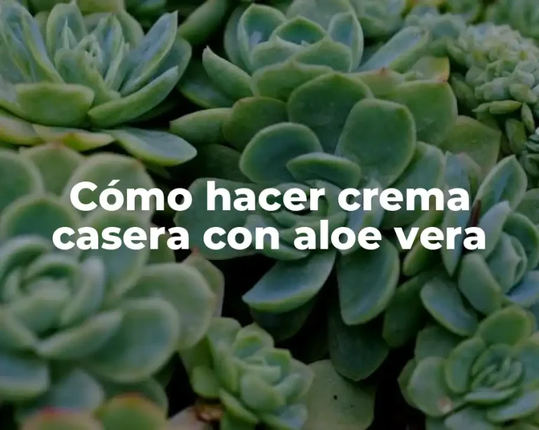 Cómo hacer crema casera con aloe vera