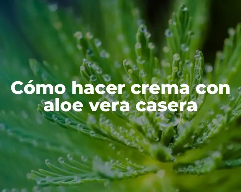Cómo hacer crema con aloe vera casera