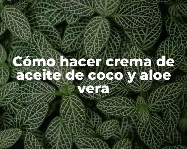 Cómo hacer crema de aceite de coco y aloe vera