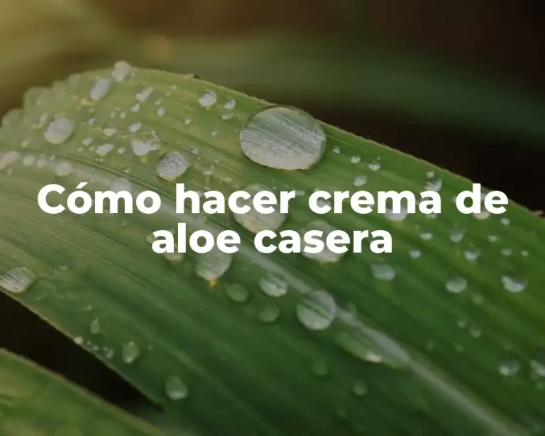 Cómo hacer crema de aloe casera