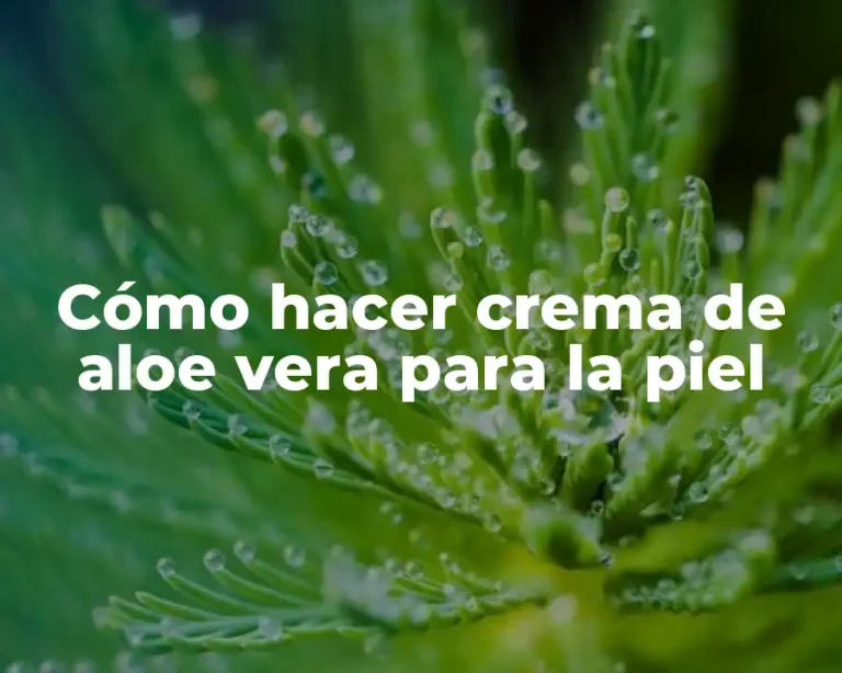 Cómo hacer crema de aloe vera para la piel
