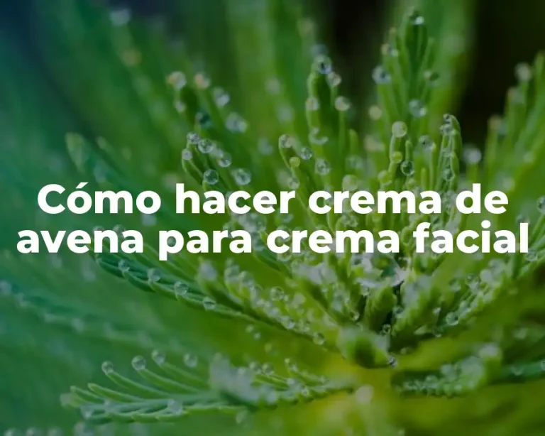 Cómo hacer crema de avena para crema facial