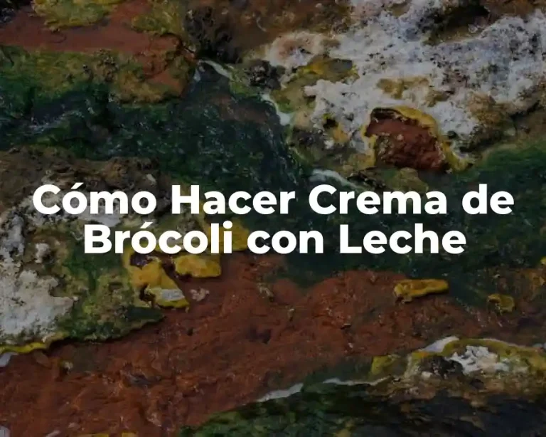 Cómo Hacer Crema de Brócoli con Leche