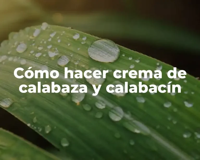 Cómo hacer crema de calabaza y calabacín