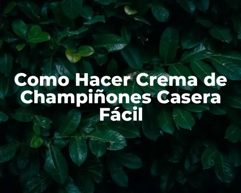 Como Hacer Crema de Champiñones Casera Fácil
