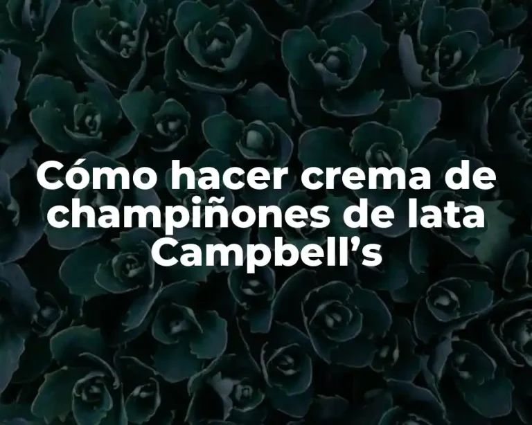 Cómo hacer crema de champiñones de lata Campbell’s