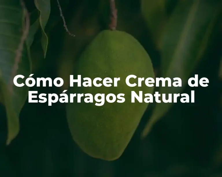 Cómo Hacer Crema de Espárragos Natural