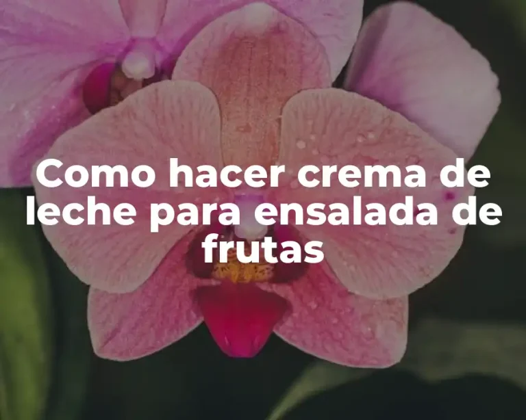 Como hacer crema de leche para ensalada de frutas
