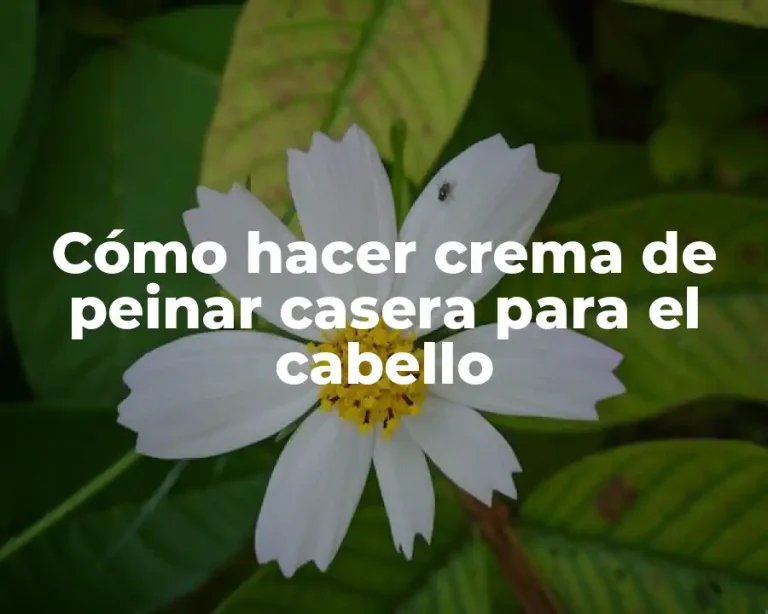 Cómo hacer crema de peinar casera para el cabello