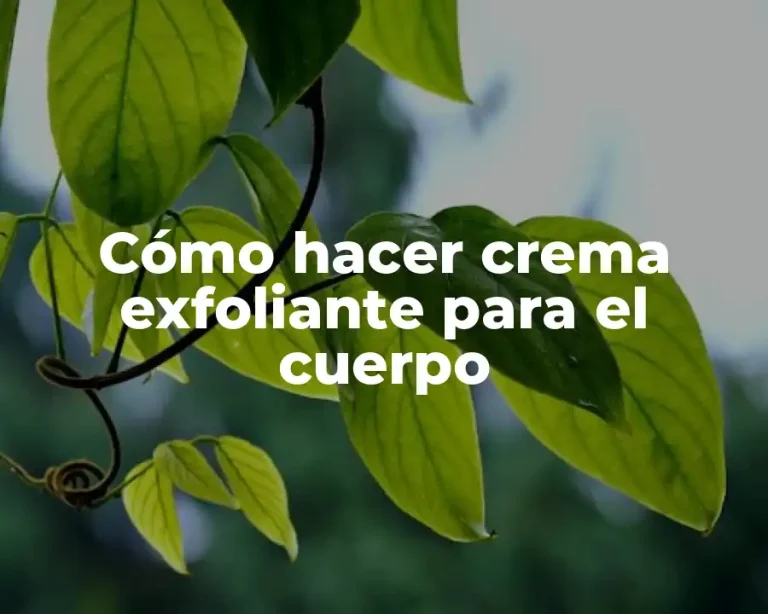 Cómo hacer crema exfoliante para el cuerpo