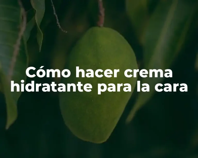 Cómo hacer crema hidratante para la cara