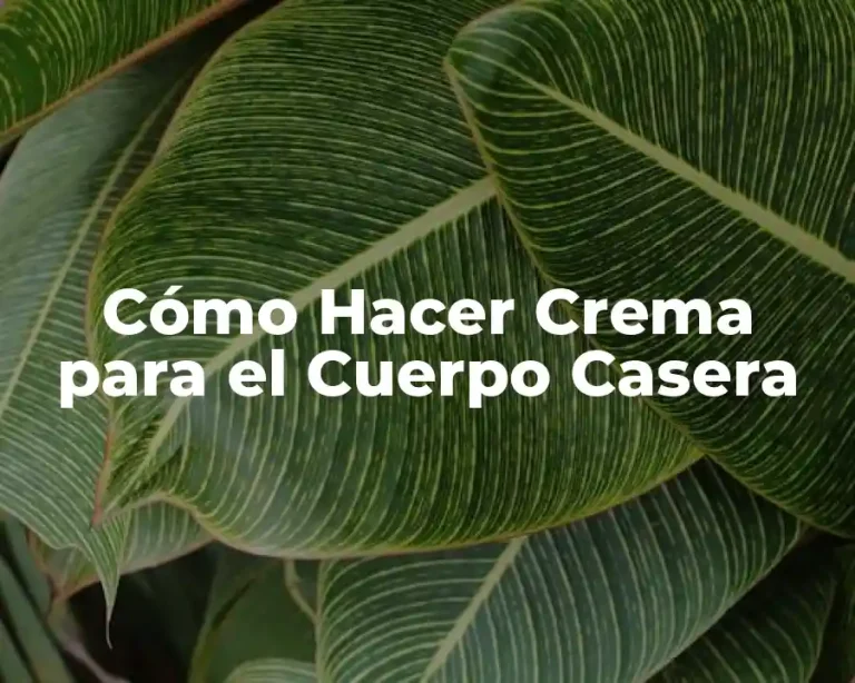 Cómo Hacer Crema para el Cuerpo Casera