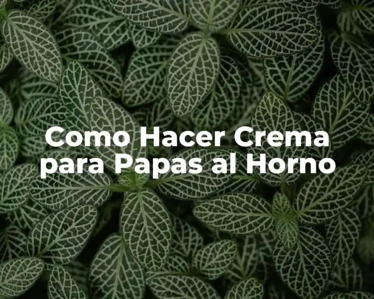 Como Hacer Crema para Papas al Horno
