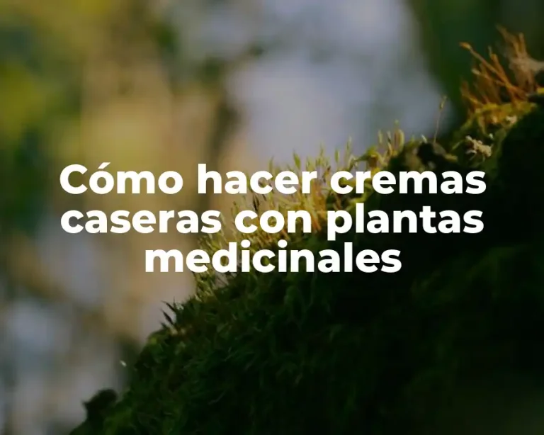 Cómo hacer cremas caseras con plantas medicinales
